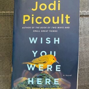 Wish You Were Here by Jodi Picoult